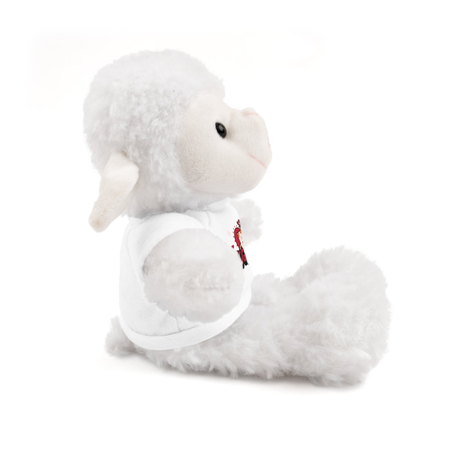 Happy Valentine's Teddy Bear Plush for that special person