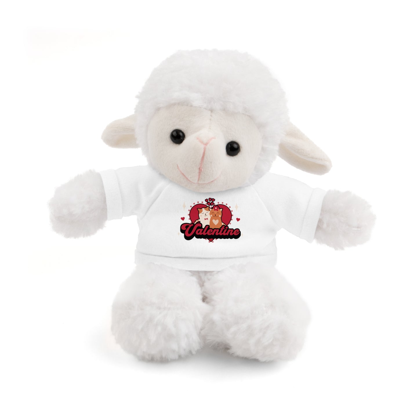 Happy Valentine's Teddy Bear Plush for that special person